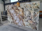 Patagonia 2 cm poli 1896 (1).jpg